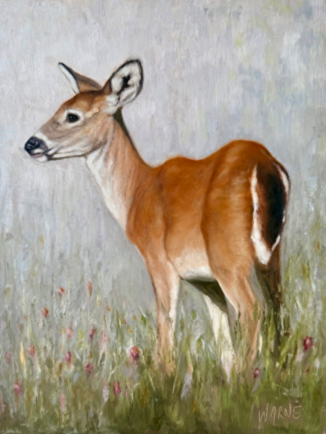 Walking Through Meadows