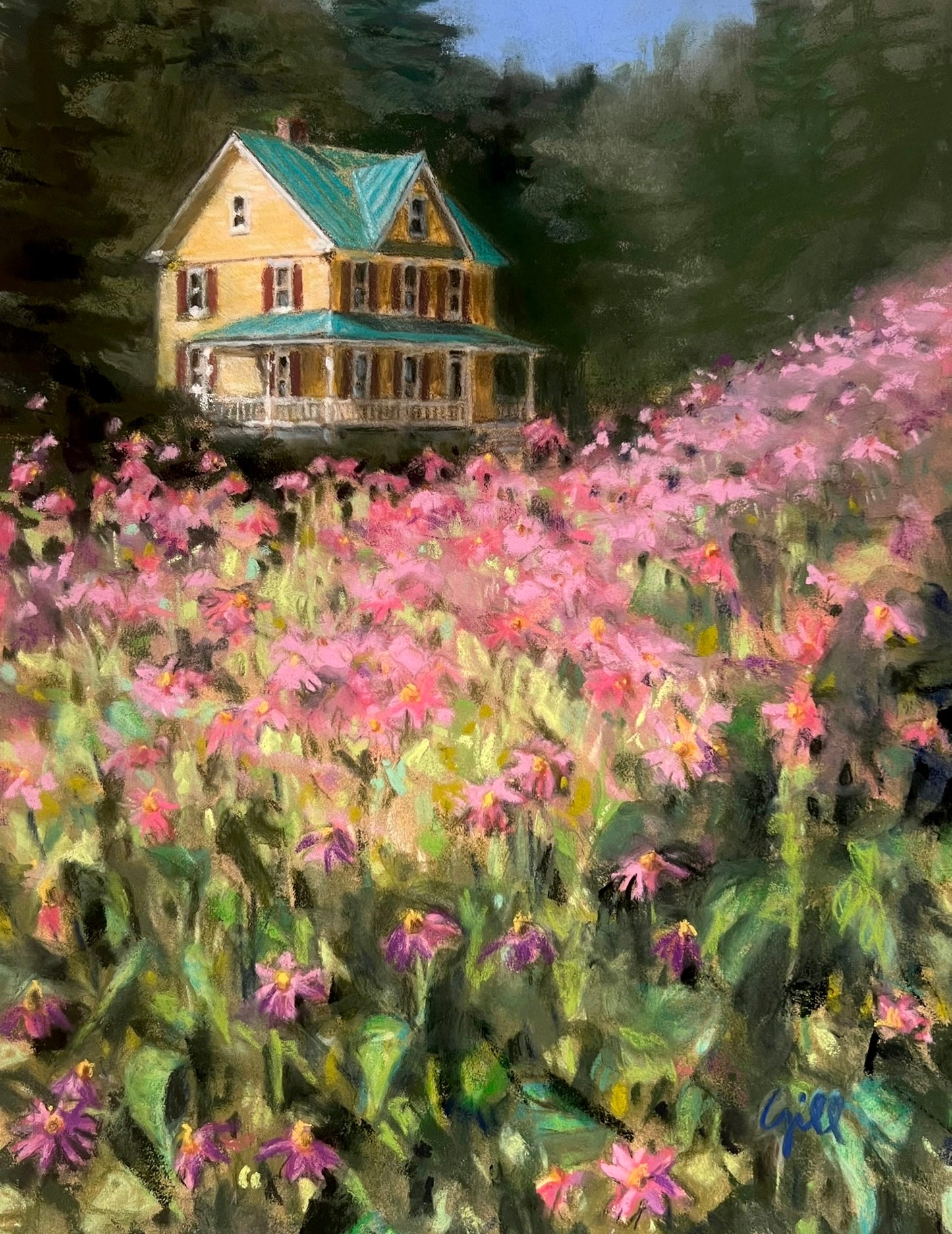 Coneflowers