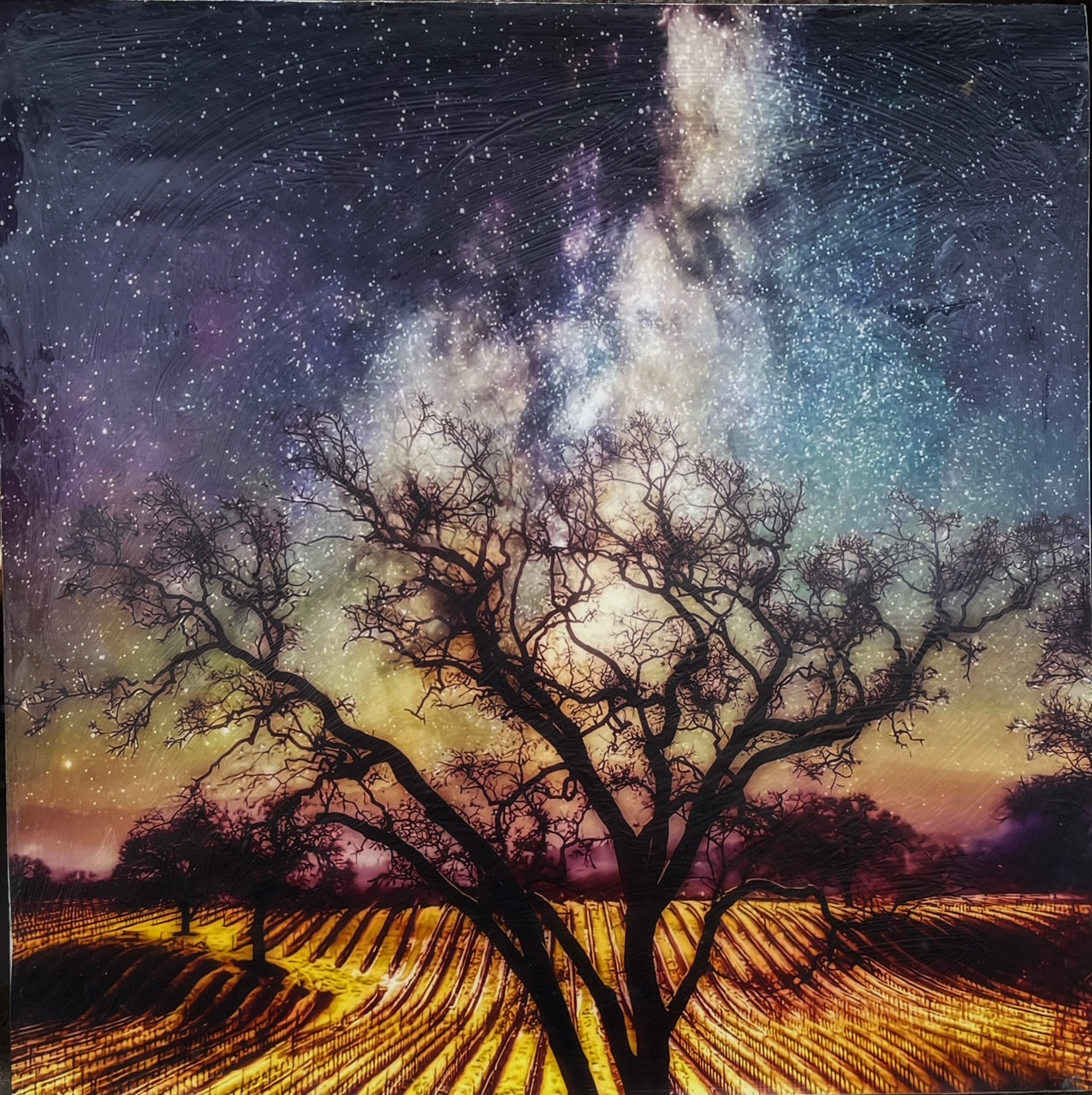 Sonoma