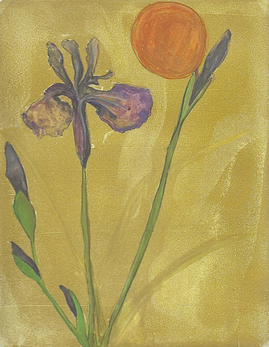 Siberian Iris 3