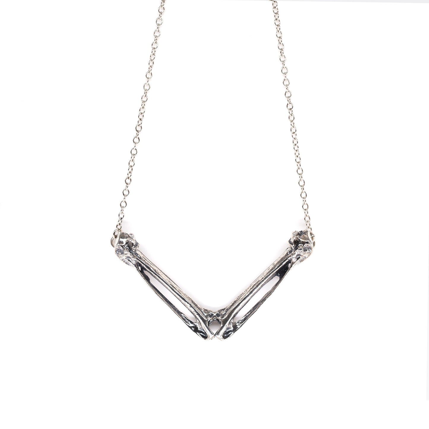 Crow Wing Bones Necklace