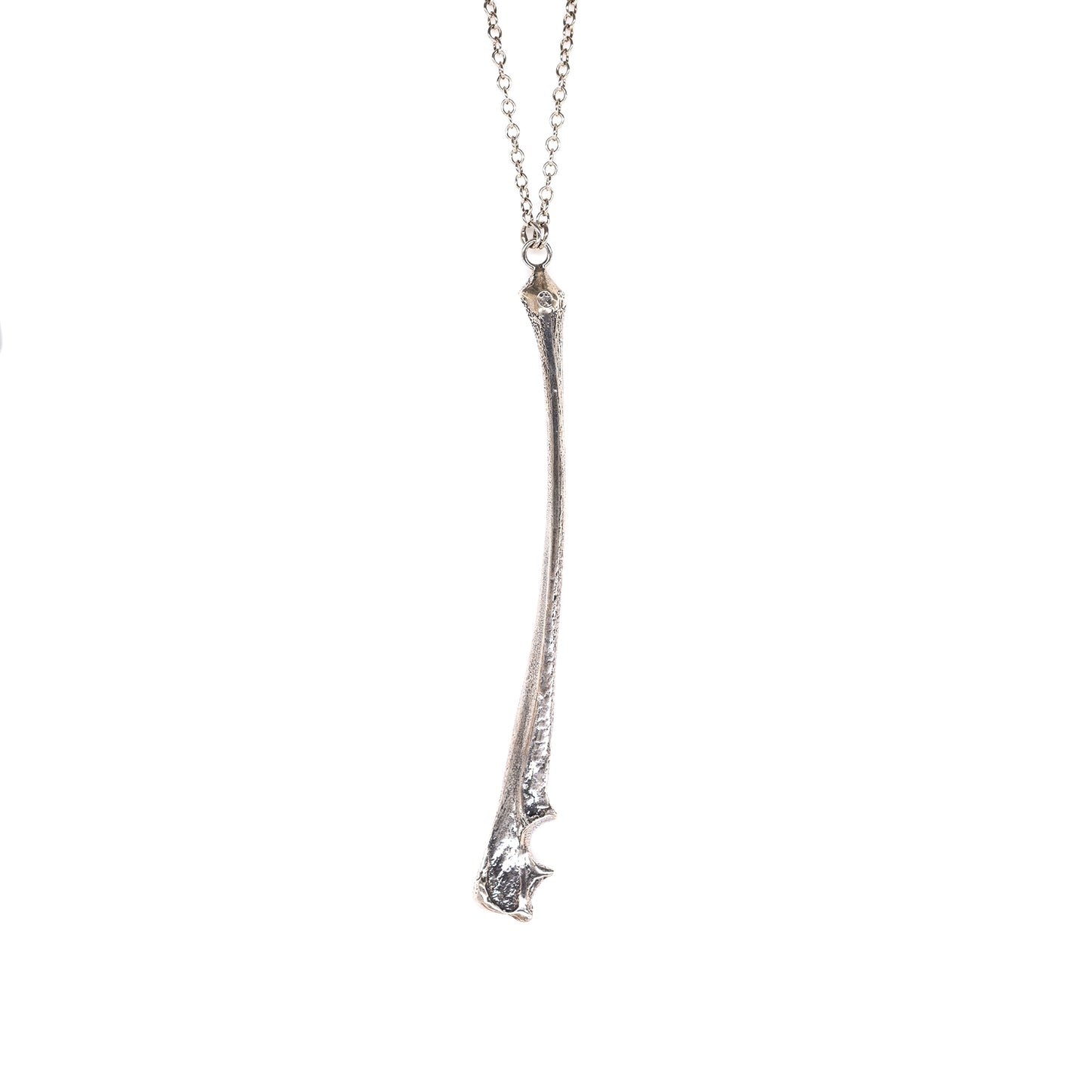 Fox Femur Necklace