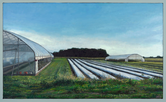 Greenhouses and Rows Blooming Glen Farm