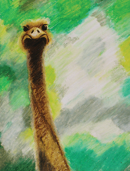 Greeting Card - Ostrich