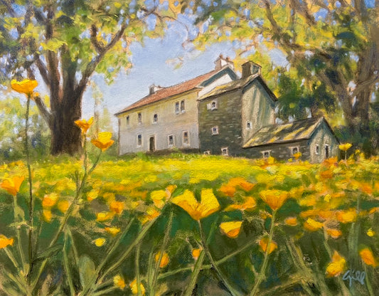 Buttercups by Knox Quarters, Valley Forge