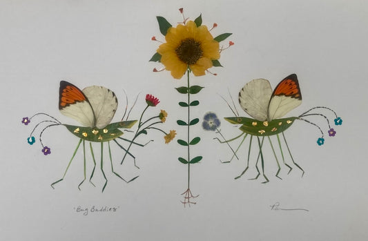 Bug buddies