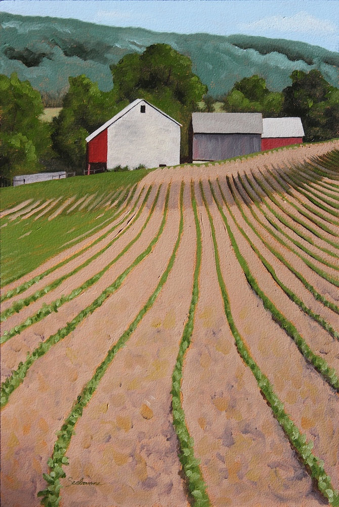 June In The Oley Valley