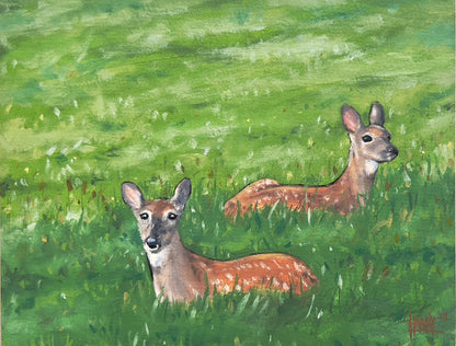 Deer in Grass